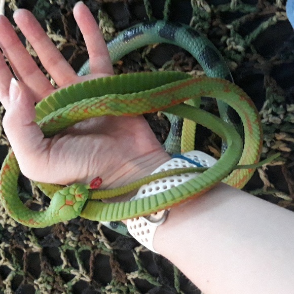 Toy bundle - Picture 5 of 6